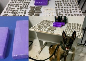 Polícia Militar apreende grande quantidade de drogas no bairro Planalto, em Linhares
