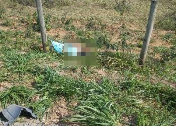 Idoso morre eletrocutado em cerca, no interior de Linhares