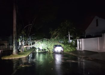 VÍDEO – Temporal deixa rastro de destruição em Linhares com destelhamento de imóveis, queda de árvores e postes