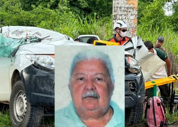 Motorista do ICMBio morre após colidir com Palmeira, na rodovia  que liga a BR 101, na localidade de Juncado, em Sooretama
