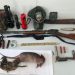 Homem é detido em Sooretama portando arma de fogo, munições e animais silvestres abatidos