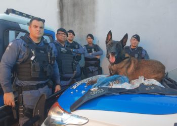 VÍDEO – F. T da Polícia Militar e Equipe K-9 apreende cerca de meio quilo de crack, buchas de maconha e cocaína  no bairro Aviso, em Linhares