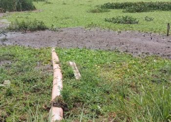 Moradora do bairro São José, em Linhares, reclama que esgoto está sendo jogado em Lagoa