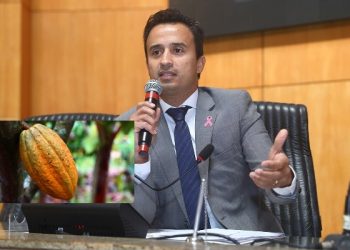 Projeto de lei propõe o incentivo à produção de cacau de qualidade