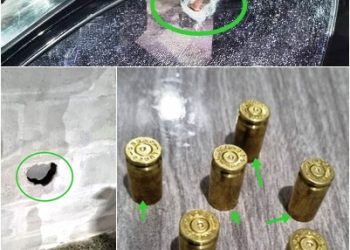 Caminhoneiro aposentado é acusado de fazer disparos de arma de fogo em via pública, no bairro Shell, em Linhares. O muro de residência e veículo foram alvejados