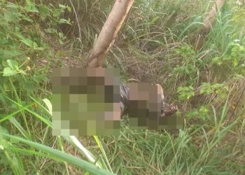 Corpo com as mãos amarradas e perfuração na barriga é encontrado em plantação de eucalipto, na região do Chapadão do 15, em Linhares