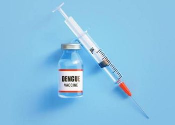 ES recebe a primeira remessa de doses de vacina contra dengue