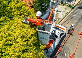 EDP faz mutirões de melhorias técnicas em Linhares e São Mateus