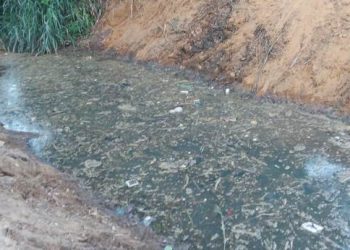 VÍDEO – Dez anos de esgoto correndo a céu aberto, em Bebedouro, na cidade de Linhares-ES. É muito sofrimento