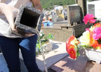 Prevenção da dengue nos cemitérios públicos de Linhares