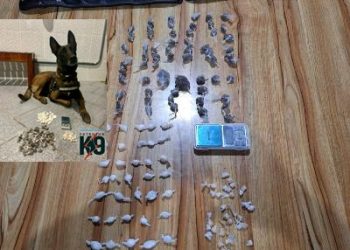 “Pó do Aviso” – Força Tática e K-9 apreendem drogas