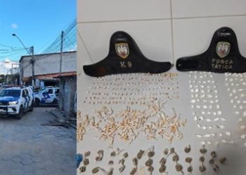 Força Tática e K-9 tiram significativa quantidade de drogas de circulação, em Linhares