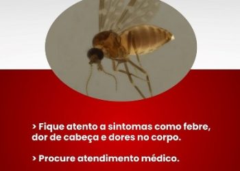 Febre do Oropouche: registrado um caso em Sooretama e outro em Rio Bananal