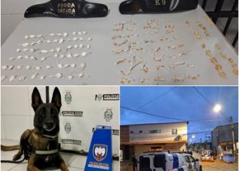 Força Tática e K-9 apreendem quase 200 pedras de crack e 59 papelotes de cocaína, no bairro Aviso, em Linhares