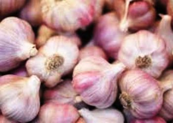 Preço do alho assusta consumidor: quilo chega a quase R$ 30 em Linhares