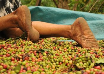Grupo de 11 pessoas é resgatado de trabalho semelhante à escravidão em fazenda de Rio Bananal