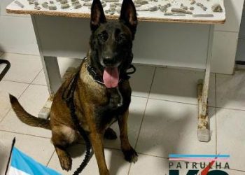 Ação da Equipe K9 e Força Tática em Linhares Resulta em Apreensão de Drogas