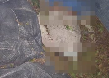 Trabalhador rural morre atropelado por maquinário em fazenda em Linhares