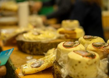 Rota dos Queijos em João Neiva: uma jornada de sabor e tradição