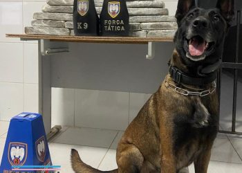 Equipe K-9 apreende mais de 20 quilos de drogas enterradas em área de mata em Linhares