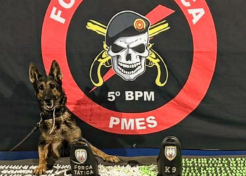 Grande apreensão de drogas: Força Tática e K9 encontram mais de 1500 entorpecentes