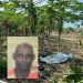 Acidente com óbito na Rodovia Roberto Calmon em  Rio Bananal