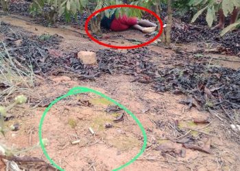 VÍDEO – Homem encontrado morto com marcas de tiro em plantação de café em Sooretama