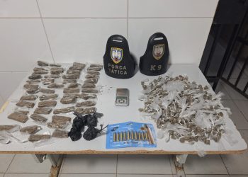 Polícia Militar apreende drogas e munições em Linhares