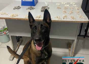 Polícia Militar apreende quase 400 pedras de crack em Linhares