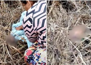 Recém – nascido abandonado é encontrado nú e ainda com cordão umbilical, em área de mata na cidade de Sooretama.