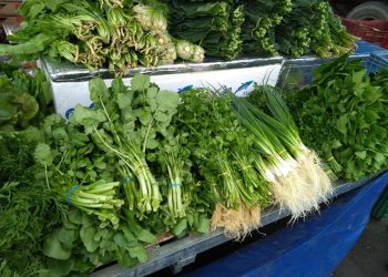 Feiras livres de Linhares funcionam normalmente durante aniversário da cidade