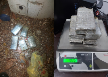 Galinhas encontram cerca de 2kg de maconha enterrados 