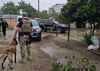 Polícia Federal desmantela quadrilha que usava “mulas humanas” para transportar cocaína para o Espírito Santo