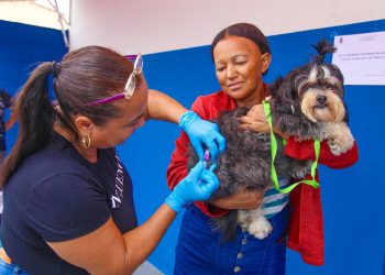 Vacinação Antirrábica em Linhares: Regência e Humaitá recebem equipes nesta semana
