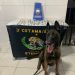 Polícia Militar realiza apreensão de drogas em Linhares com apoio de cão farejador