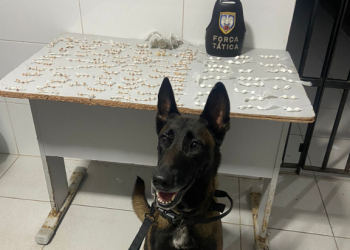 Força Tática apreende mais de 400 pedras de crack durante operação no Aviso