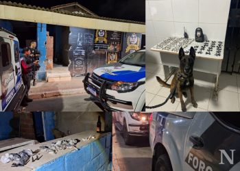 Força Tática encontra drogas em construção no Residencial Jocafe l