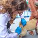 Dia D: Sábado (28) é dia de levar cães e gatos para vacinar contra a raiva em Linhares
