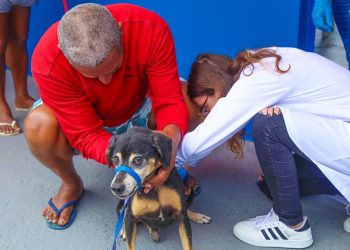 Quartel de Baixo recebe campanha de vacinação antirrábica neste sábado