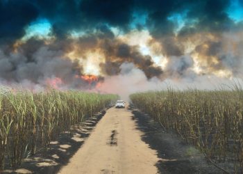 Mais um incêndio na região, desta vez na entrada do Farias