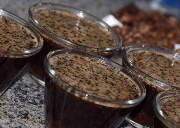 Vencedores do concurso de qualidade de café de Linhares serão premiados no próximo dia 29