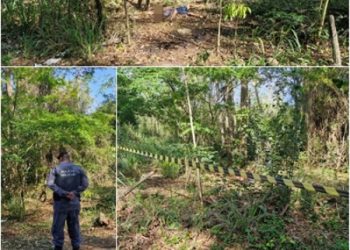 IMAGENS EXCLUSIVAS – Estada de Jataipeba – Corpo de homem, com marcas de violência, na cabeça, é encontrado na estrada de Jataipeba, em Linhares
