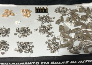 Grande quantidade de  entorpecentes apreendidos em Linhares