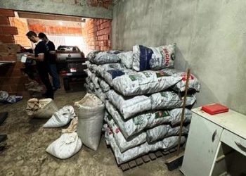 Operação Policial resulta na apreensão de 89 toneladas de pimenta do reino no Norte do Estado