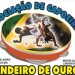 Projeto Ginga Bebedouro realiza 11º Batizado e Troca de Cordéis em Bebedouro na cidades de Linhares-ES