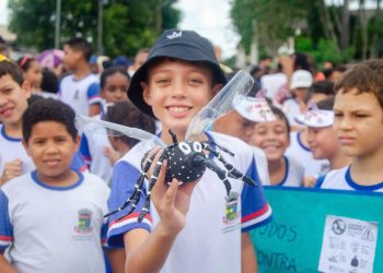 Dia Nacional da Dengue será marcado por mobilização no Centro de Linhares neste sábado, 23