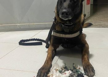 Força Tática apreende drogas no bairro Aviso, em Linhares e mais uma vez Pantera aponta ponto específico.