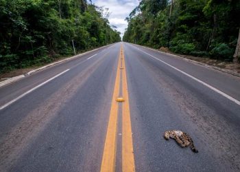 Começou hoje (30), a redução de velocidade na região da Reserva Biológica de Sooretama, no trecho da BR-101