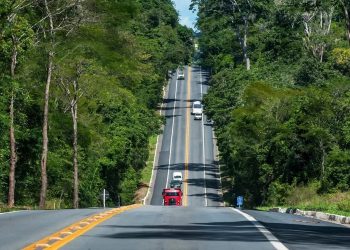 Trecho da BR-101, região da Reserva Biológica de Sooretama, terá redução de velocidade. Saiba a partir de quando