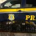 ATUALIZAÇÃO: Polícia encontra mais 132 tabletes de maconha – Caminhoneiro é detido com 8 KG de drogas, arma de fogo e substâncias proibidas na BR 101